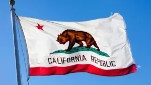 A close up of the California state flag.