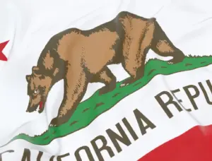 The California state flag.
